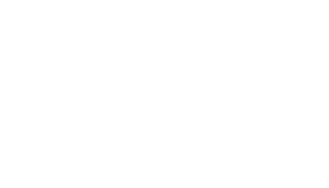 Green Mountain Boy